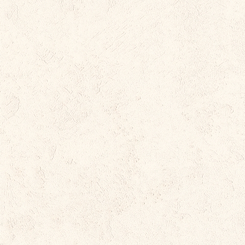 Bestie 2025 - BW Collection ลายมินิมอล