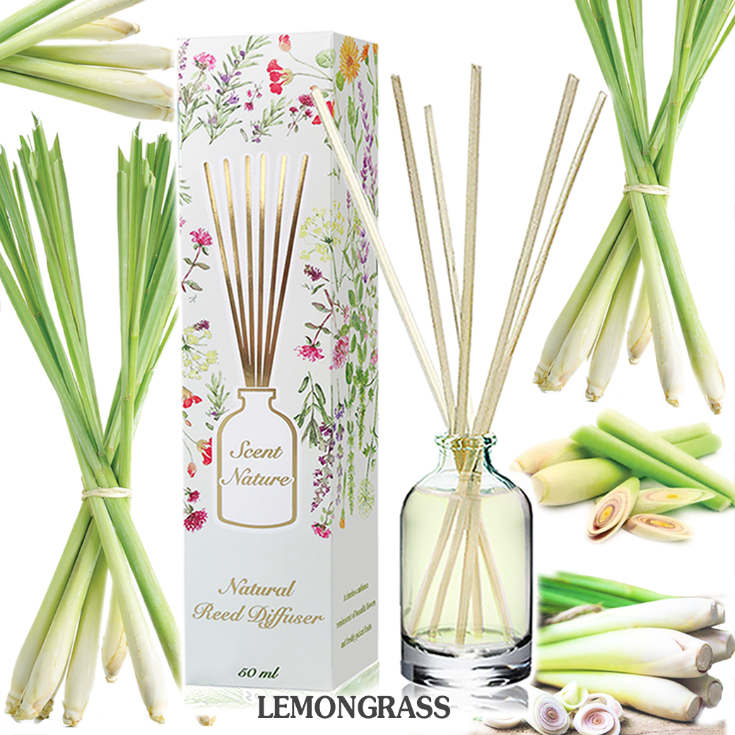 LEMONGRASS ตะไคร้บ้าน