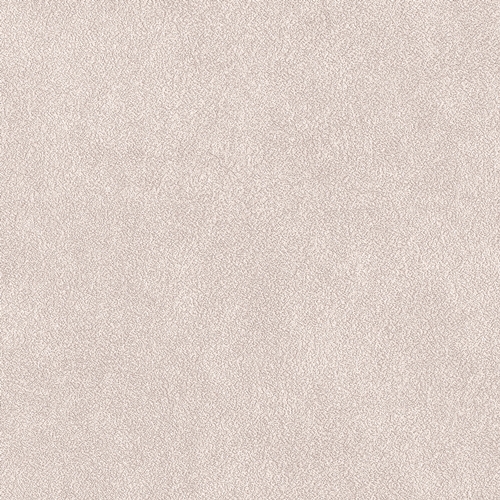 Bestie 2025 - BW Collection ลายมินิมอล