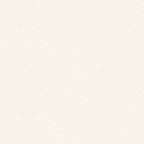 Bestie 2025 - BW Collection ลายมินิมอล