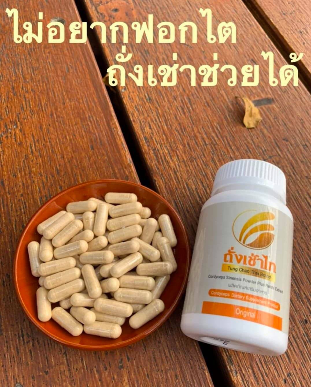ถั่งเช่าไท ช่วยเรื่อง ความดัน เบาหวาน ภูมิแพ้ มีบุตรยาก อื่นๆ ถั่งเช่า ถั่งเช่าไทย tung chao thai สำเนา