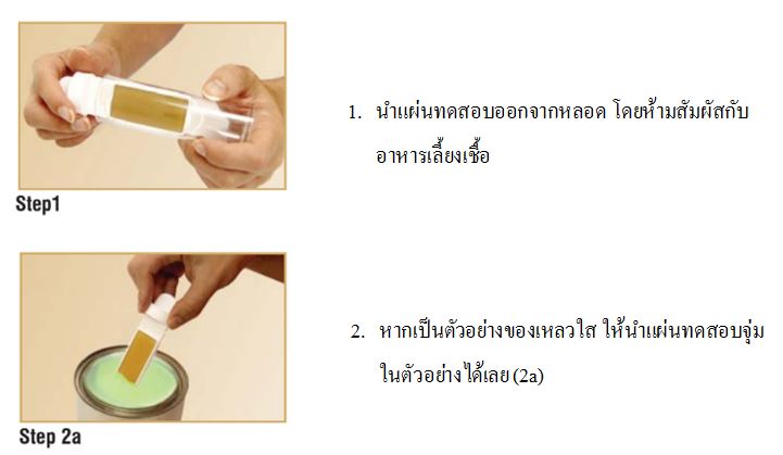 ชุดทดสอบเชื้อแบคทีเรีย เชื้อรา(10ชุด/กล่อง) Bacteria and Fungi Test kit-B-F INDICATOR