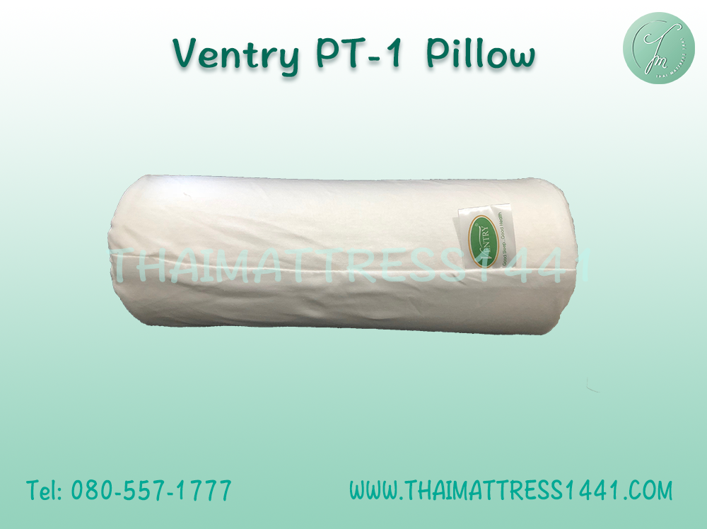 หมอนยางพารา รองคอ Ventry PT1