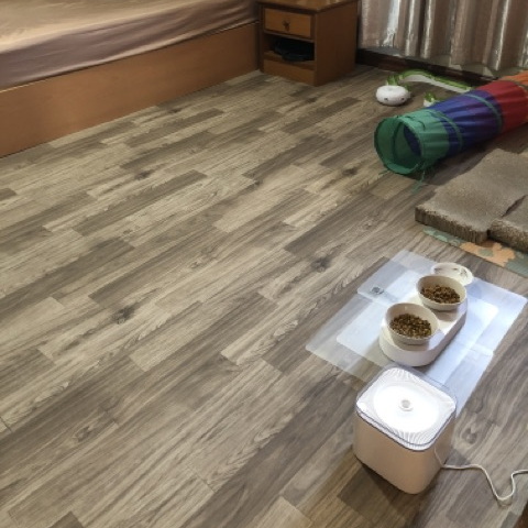 พีวีซีปูพื้น ลายไม้โมเดริน ไม้ธรรมชาติ modern natural-wood panel JP-015 หน้ากว้าง 100 ซม หนา 0.6 มม ยาวเมตรละ