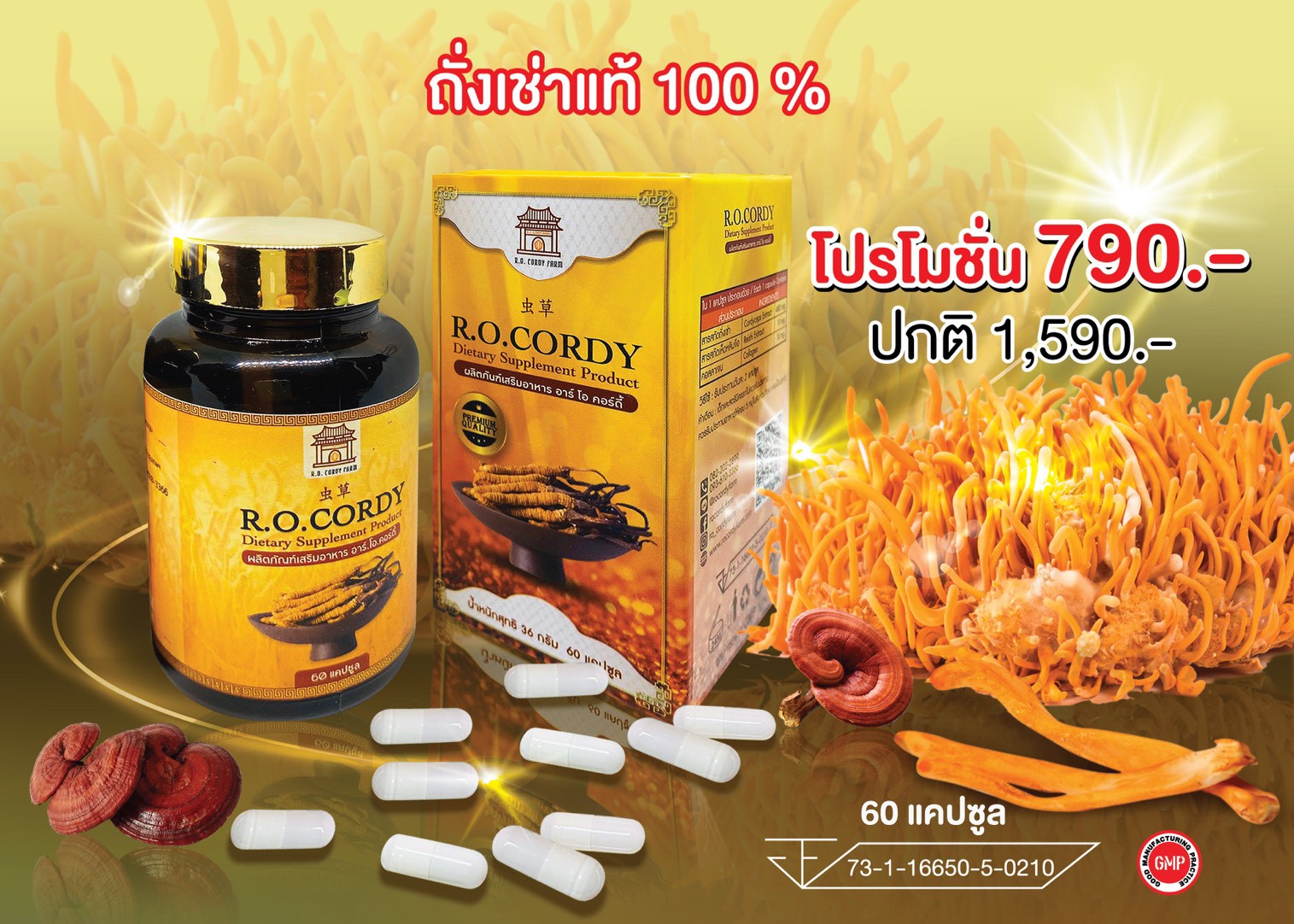 R O cordy rocordy r.o. cordy อาร์โอ คอร์ดี้
