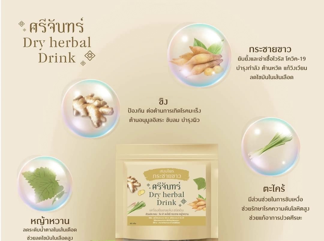 ชา ชากระชาย ชากระชายขาว กระชาย กระชายขาว ศรีจันทร์ dry herbal drink