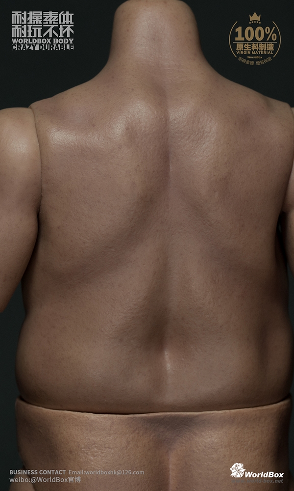 WorldBox AT021 Durable Body