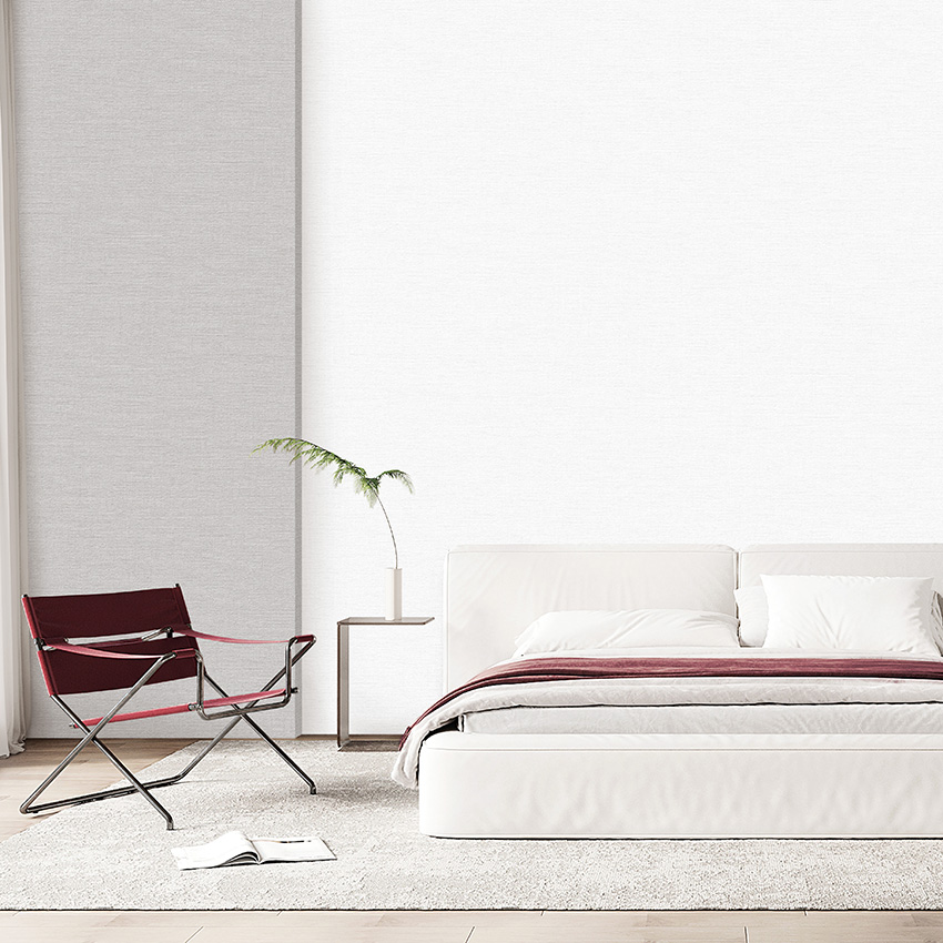 BASIC+ LIMITED Collection