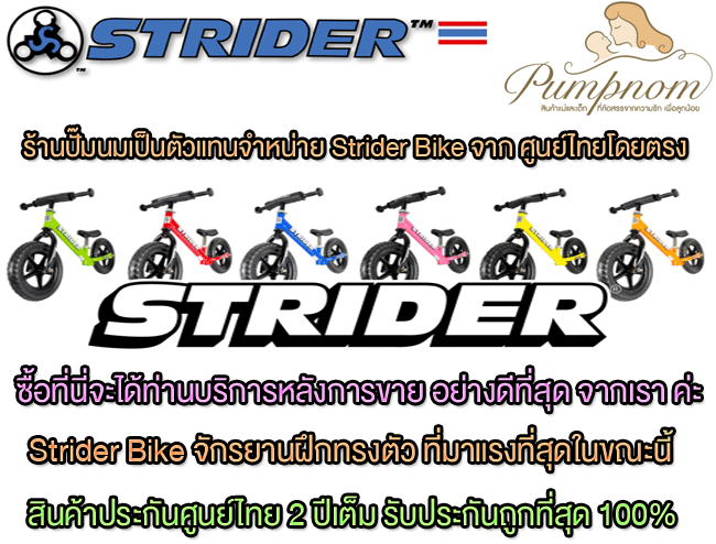 STRIDER BIKES (สไตรเดอร์ ไบร์ท) Number Plate Kit (ชุดป้ายเลข)