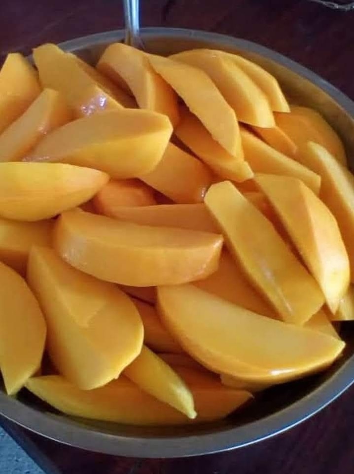 ต้นมะม่วงตลับนาคใบด่าง ต้นมะม่วงตลับนาค ต้นมะม่วง ใบด่าง ทาบกิ่ง Mango tree with variegated leaves / apahcin