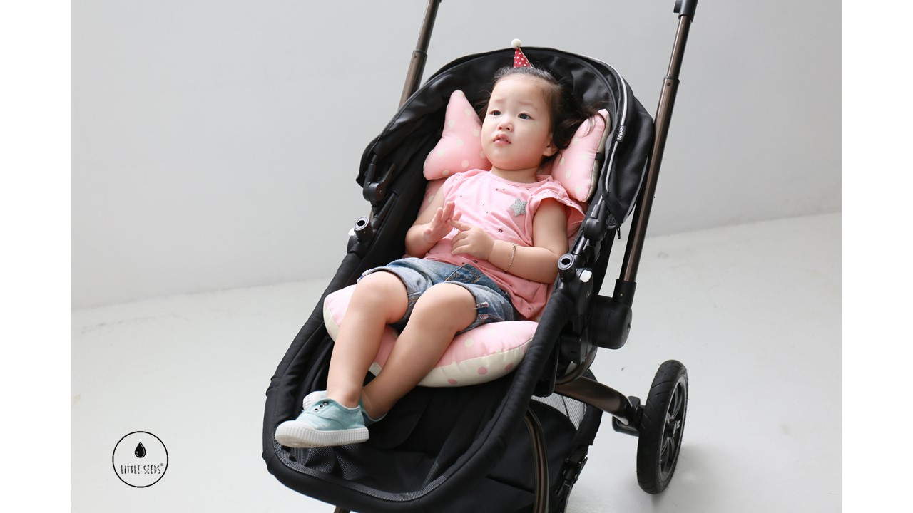 LITTLE SEEDS (ลิตเติ้ลซี๊ด) Stroller inner seat เบาะรองนั่งสำหรับรถเข็น คาร์ซีท และเก้าอี้โยก