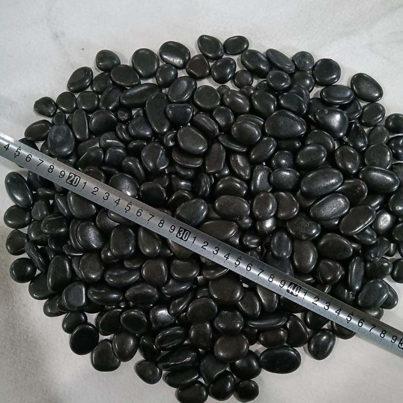 หินกรวดทะเล หลากสี