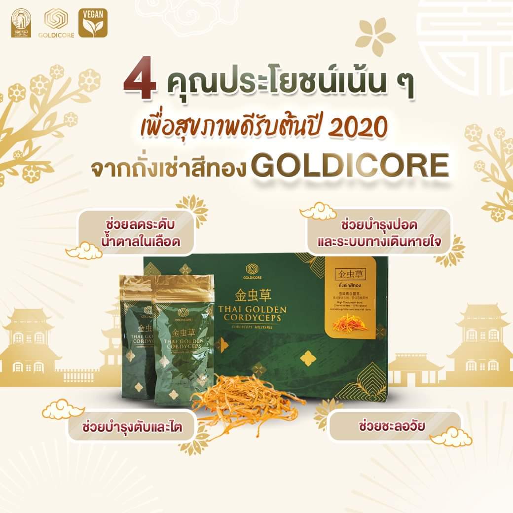 ถั่งเช่าสีทอง goldicore บำรุงสุขภาพ ถั่งเช่า