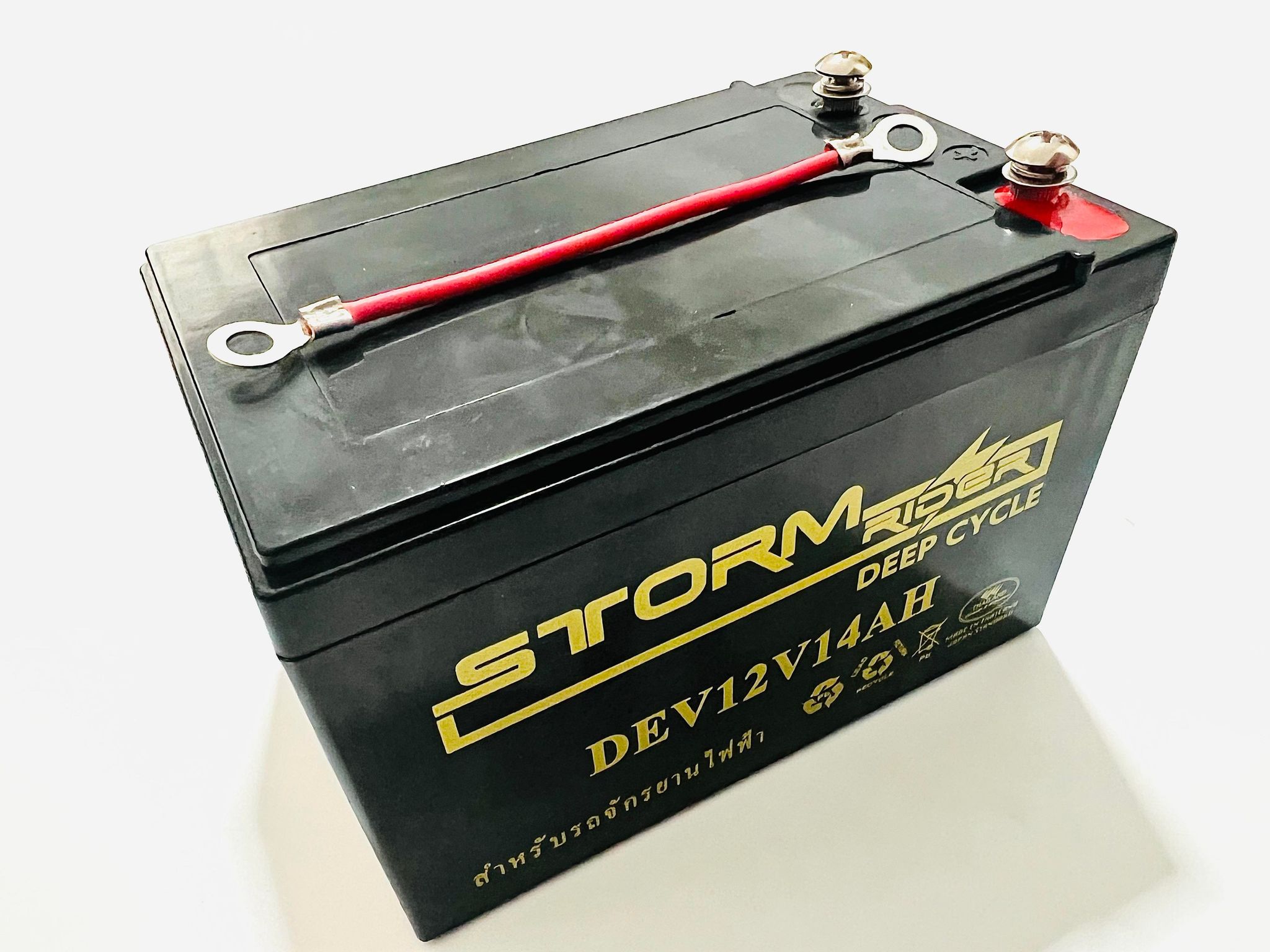 แบตเตอรี่รถจักรยานไฟฟ้า DEV12V14AH L19