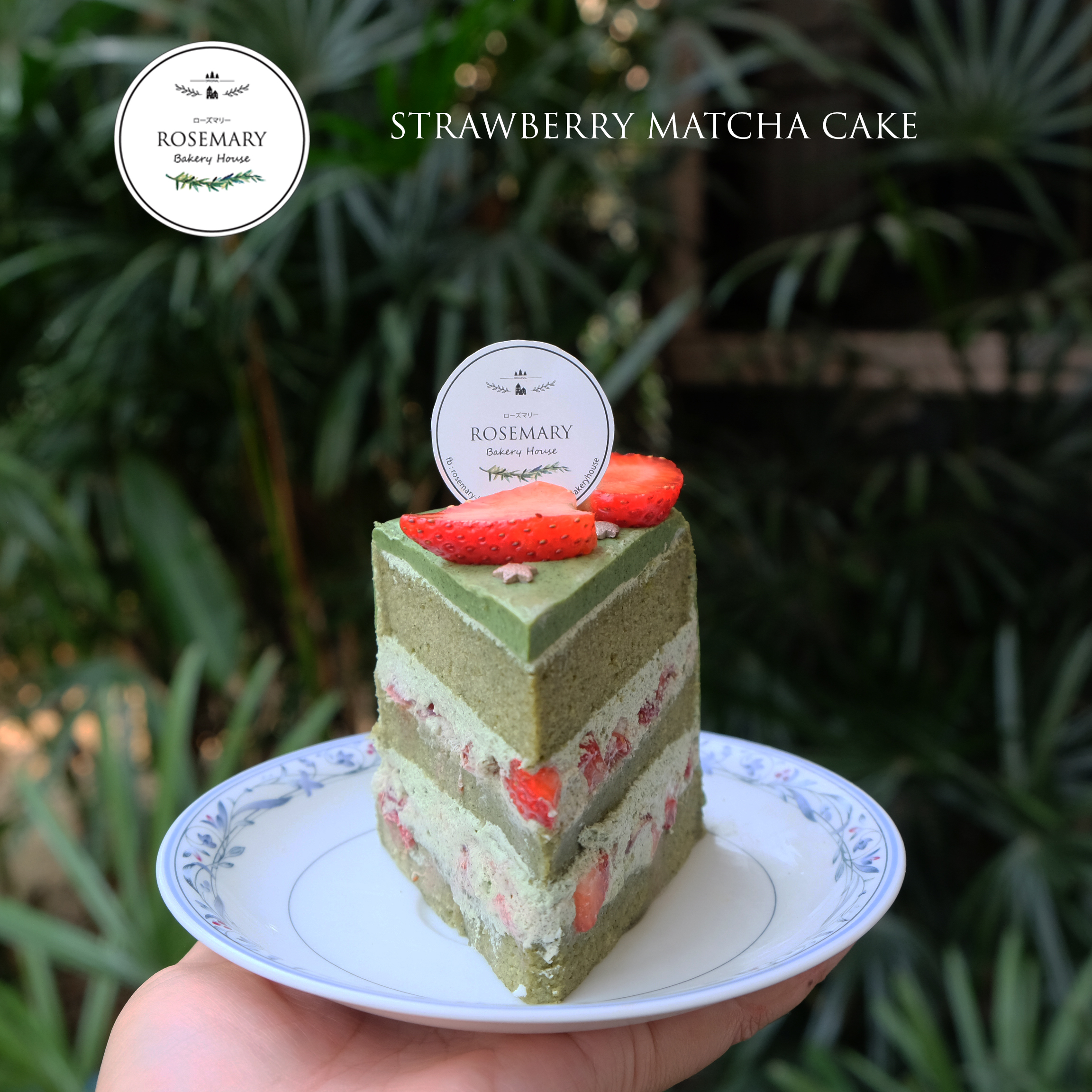 🍓 เค้กสตรอว์เบอร์รี่ชาเขียว (3 ชั้น) ราคาต่อชิ้น 🍓 Strawberry Matcha Cake