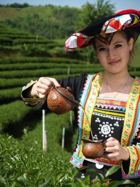 (มี7สูตร) ชาอู่หลง ชาอูหลง ชาชั้นเลิศจาก ดอยแม่สลอง emerald thai tea ชาไทยมรกต ใบชาโชคชัยจำเริญ