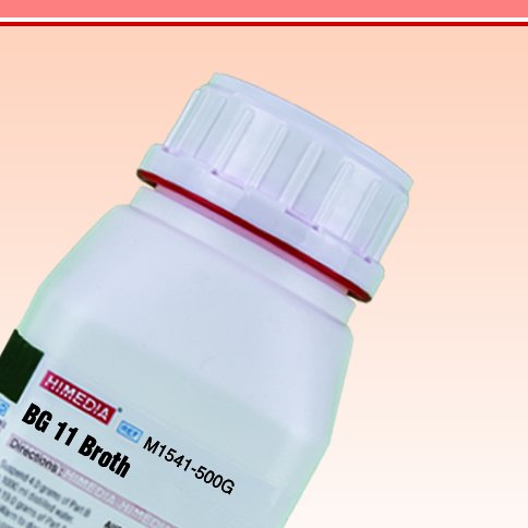 Himedia™BG11 BROTH 500 กรัม