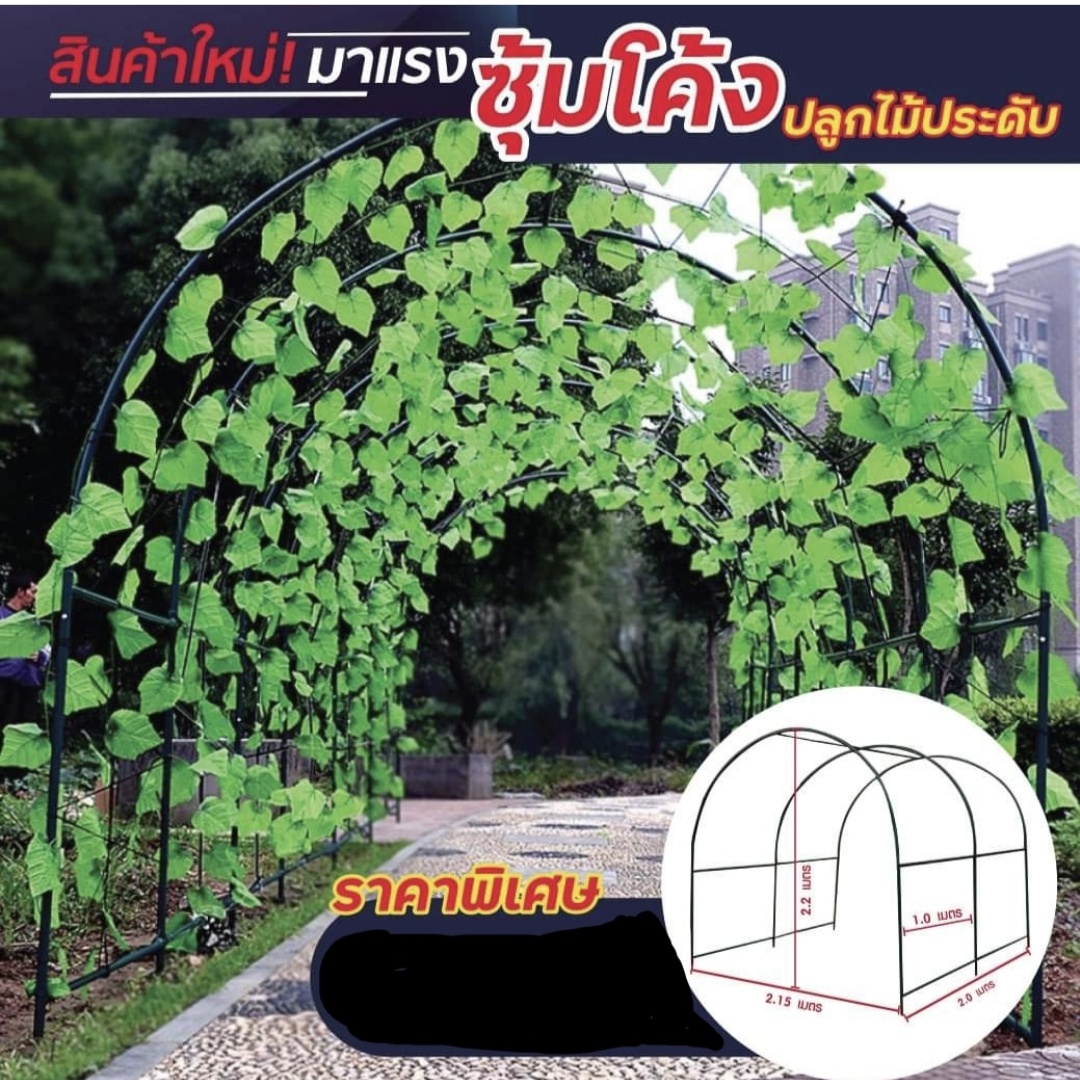 ซุ้มโค้งปลูกไม้ประดับ ซุ้มโค้ง ปลูกไม้ประดับ ปลูกไม้เลื้อย ซุ้มไม้เลื้อย ค้างไม้เลื้อย smile home อุปกรณ์แต่งบ้าน และ งานสวน