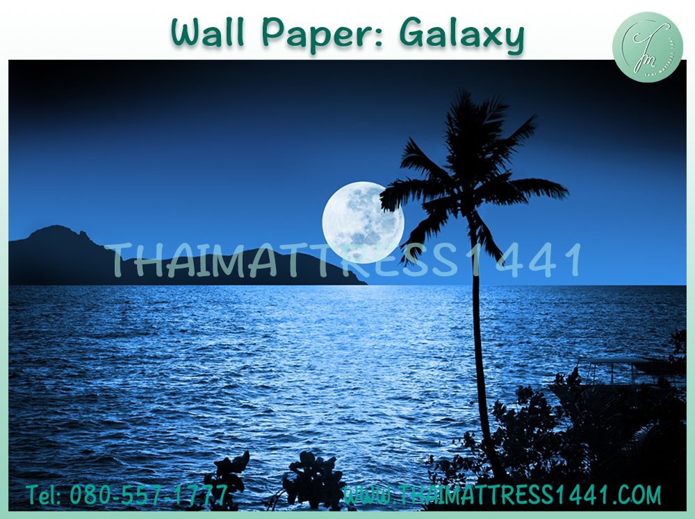 วอลเปปอร์ภาพพิมพ์ Digital Printing Wall Paper