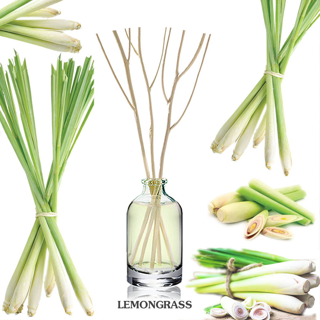 ก้านไม้หอมปรับอากาศขนาดมินิ 15ml LEMONGRASS ตะไคร้บ้าน