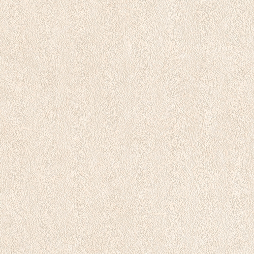 Bestie 2025 - BW Collection ลายมินิมอล