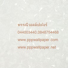 วอลล์เปเปอร์ติดผนังสไตล์โมเดิร์น