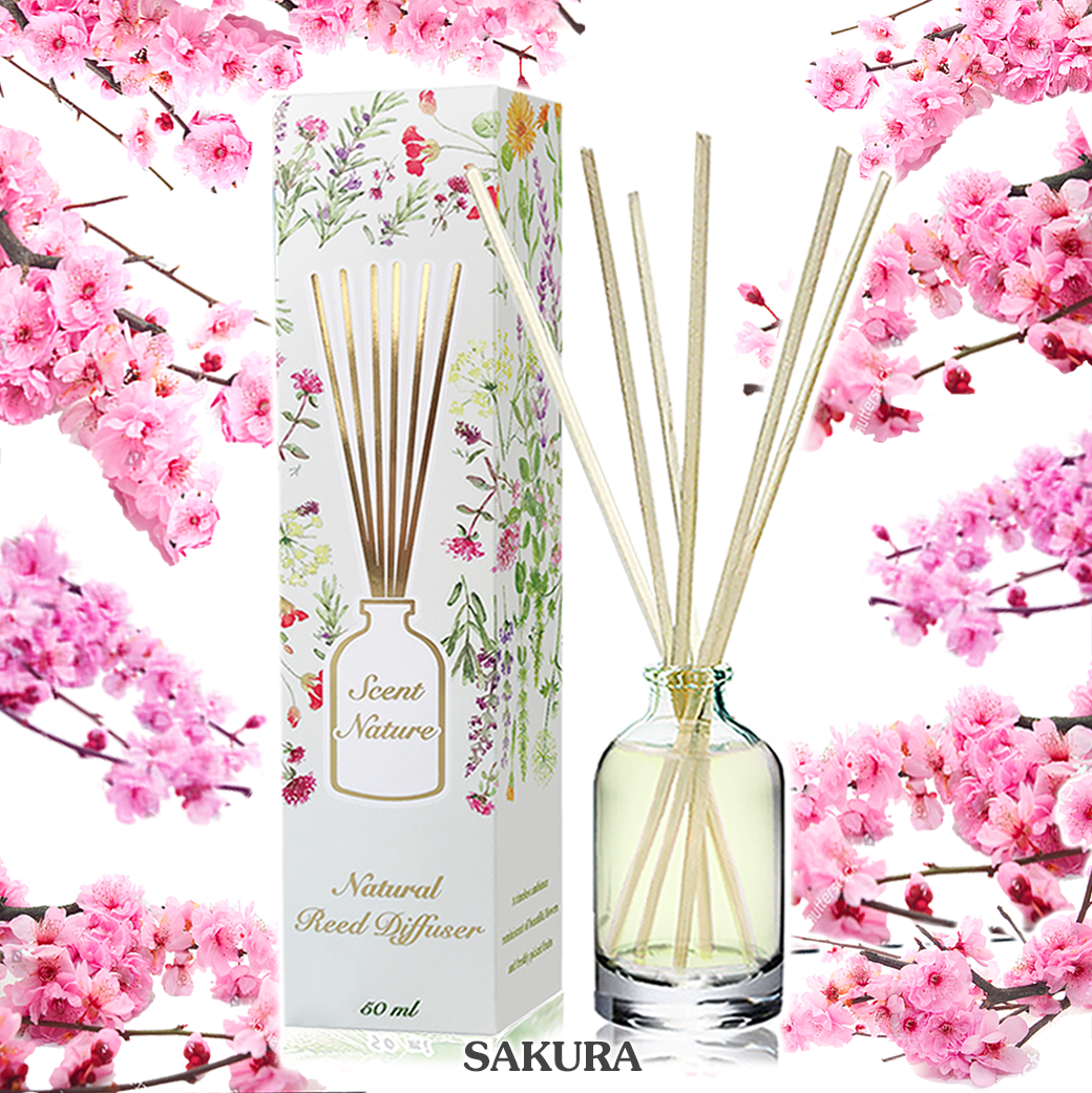 SAKURA ดอกซากุระ