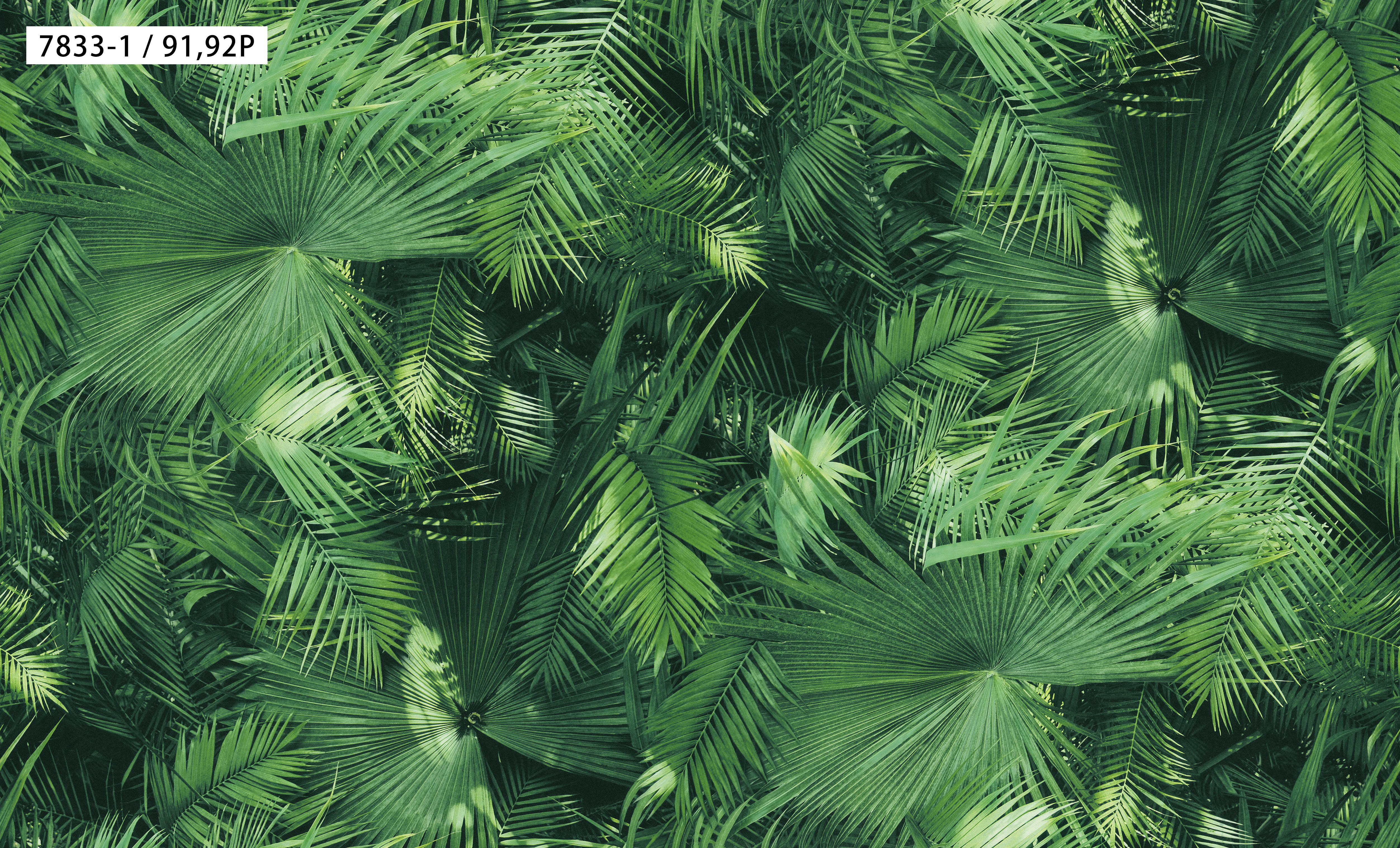 Galaxy - BW Collection ลายธรรมชาติ