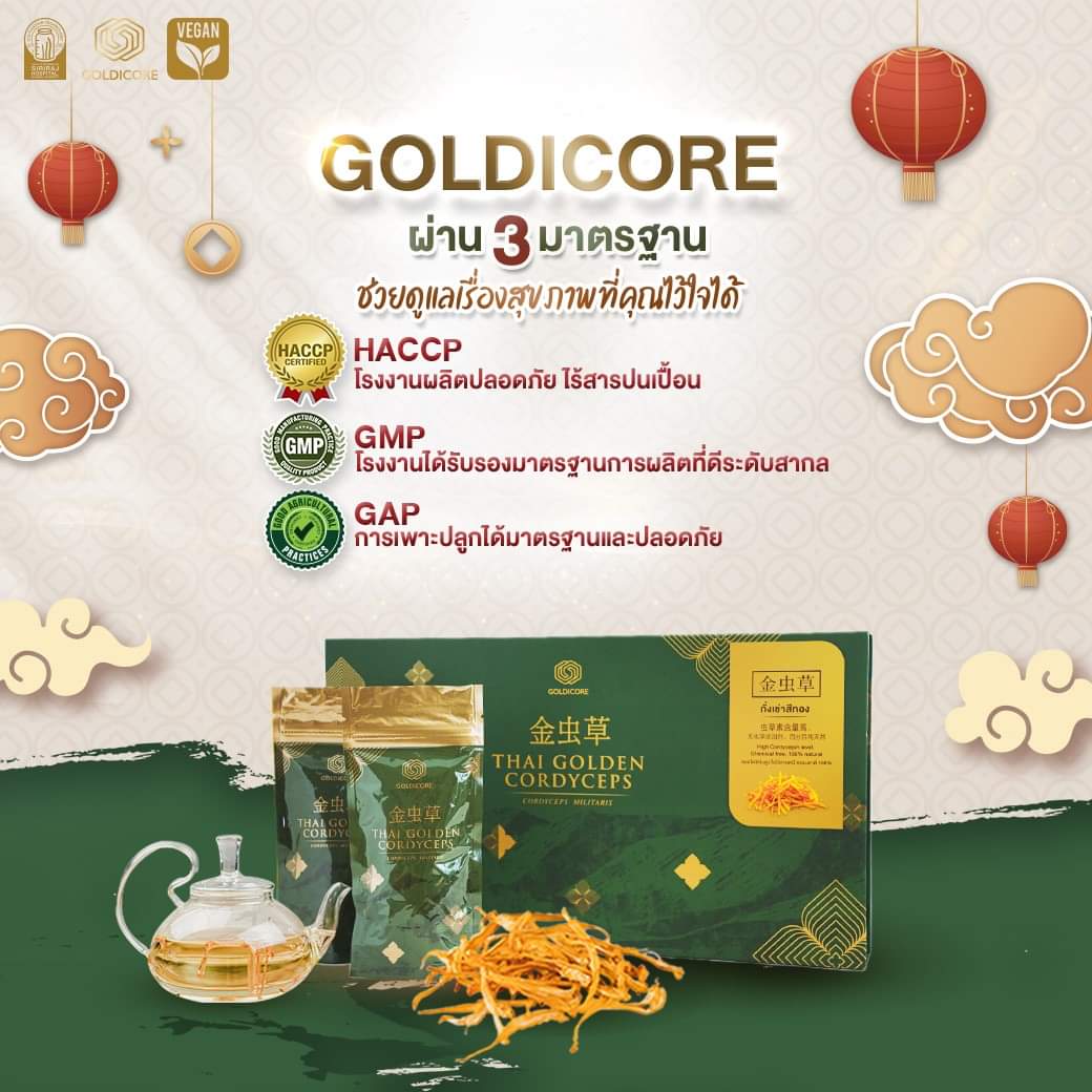 ถั่งเช่าสีทอง goldicore บำรุงสุขภาพ ถั่งเช่า