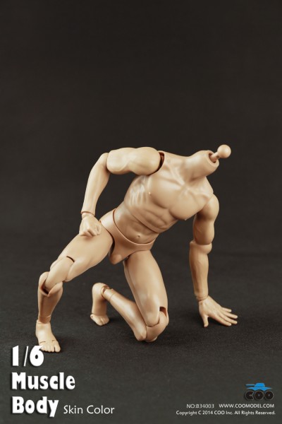 COOMODEL B34003 Muscle male Body