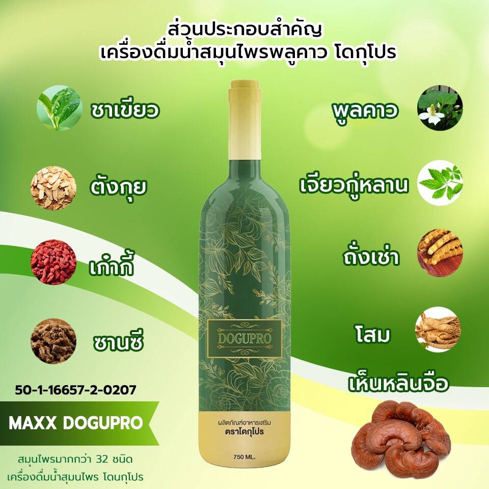 โดกุโปร DOGUPRO น้ำสมุนไพรพลูคาว สมุนไพรรวมเพื่อสุขภาพ dogupro