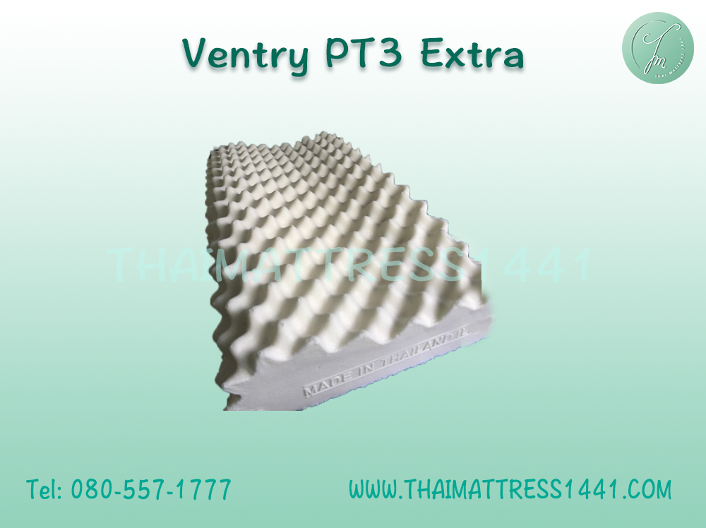 หมอนยางพาราโมเน่ Monee PT3 Extra