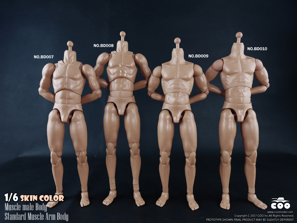 COOMODEL BD007 / BD008 Standard & High Standard Muscle Arm Body
