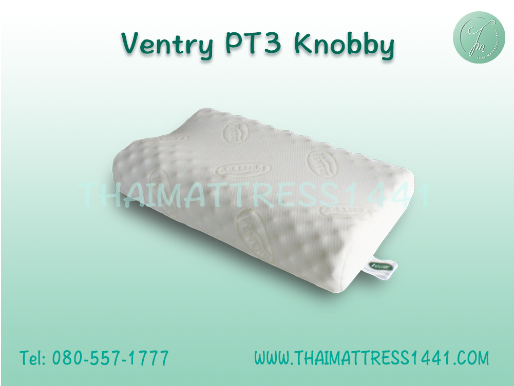 หมอนยางพารา Ventry PT3 Knobby