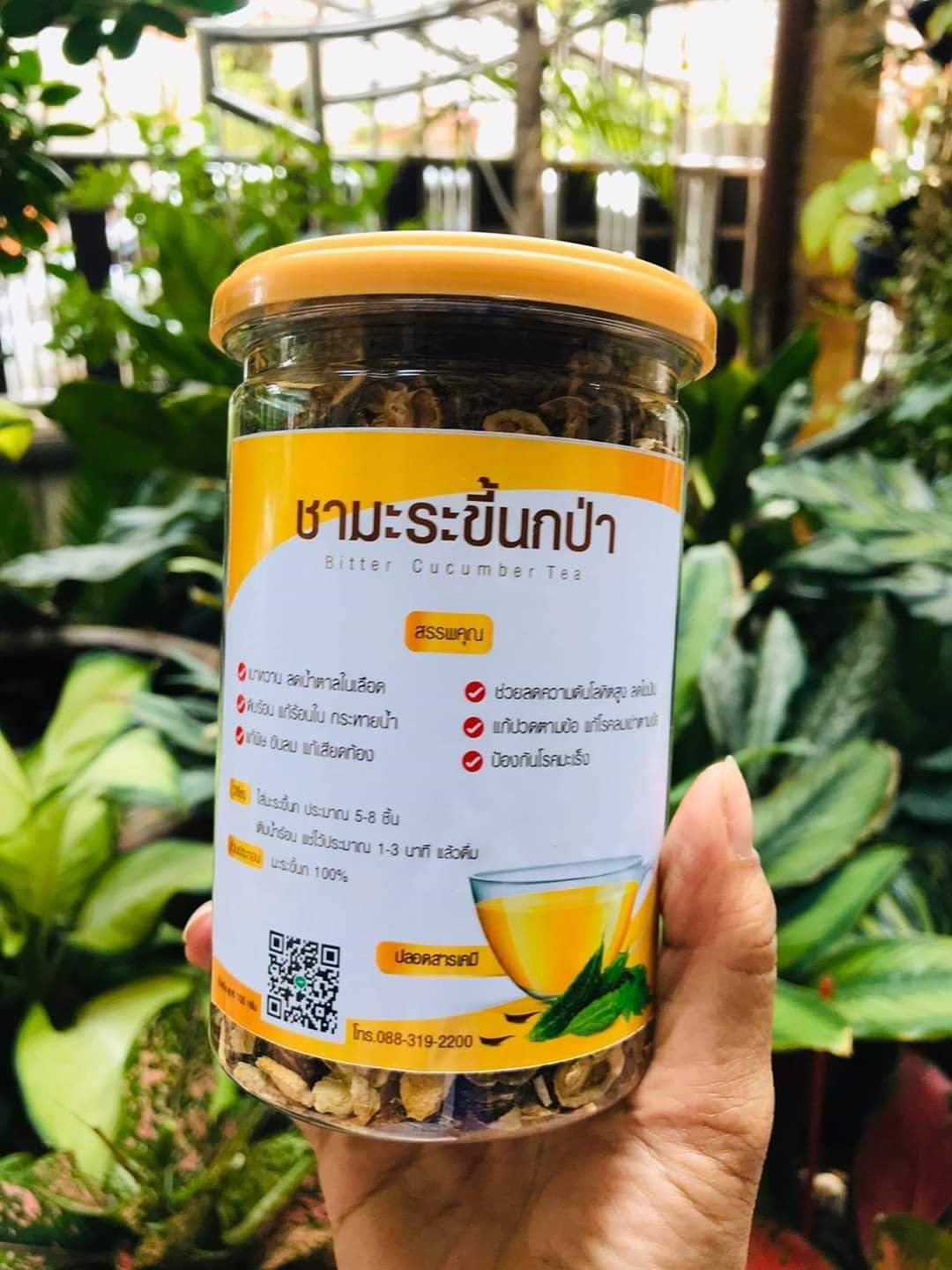 รวม มี3 รายการ ชามะระขี้นกป่า & ชาเห็ดหลินจือ & สมุนไพร ชาใบขลู่