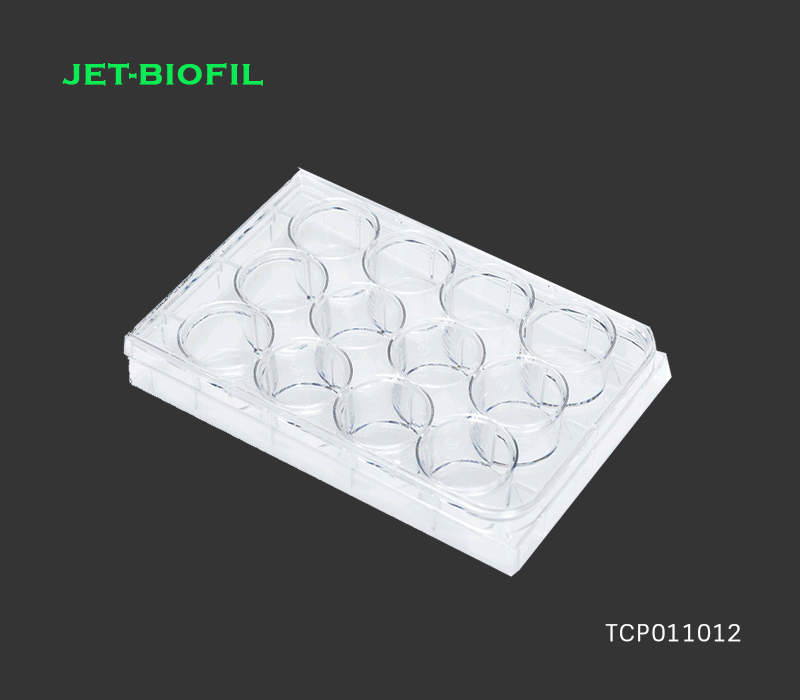 Tissue culture plate 12 well flat shape bottom-sterile(100ea/cs)-Jet biofil-TC treated