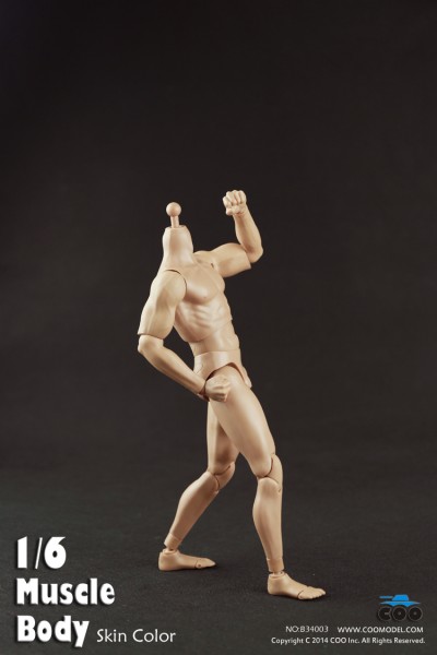 COOMODEL B34003 Muscle male Body