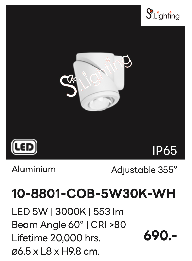 โคมไฟติดผนังภายนอก 10-8801-COB-5W30K-WH