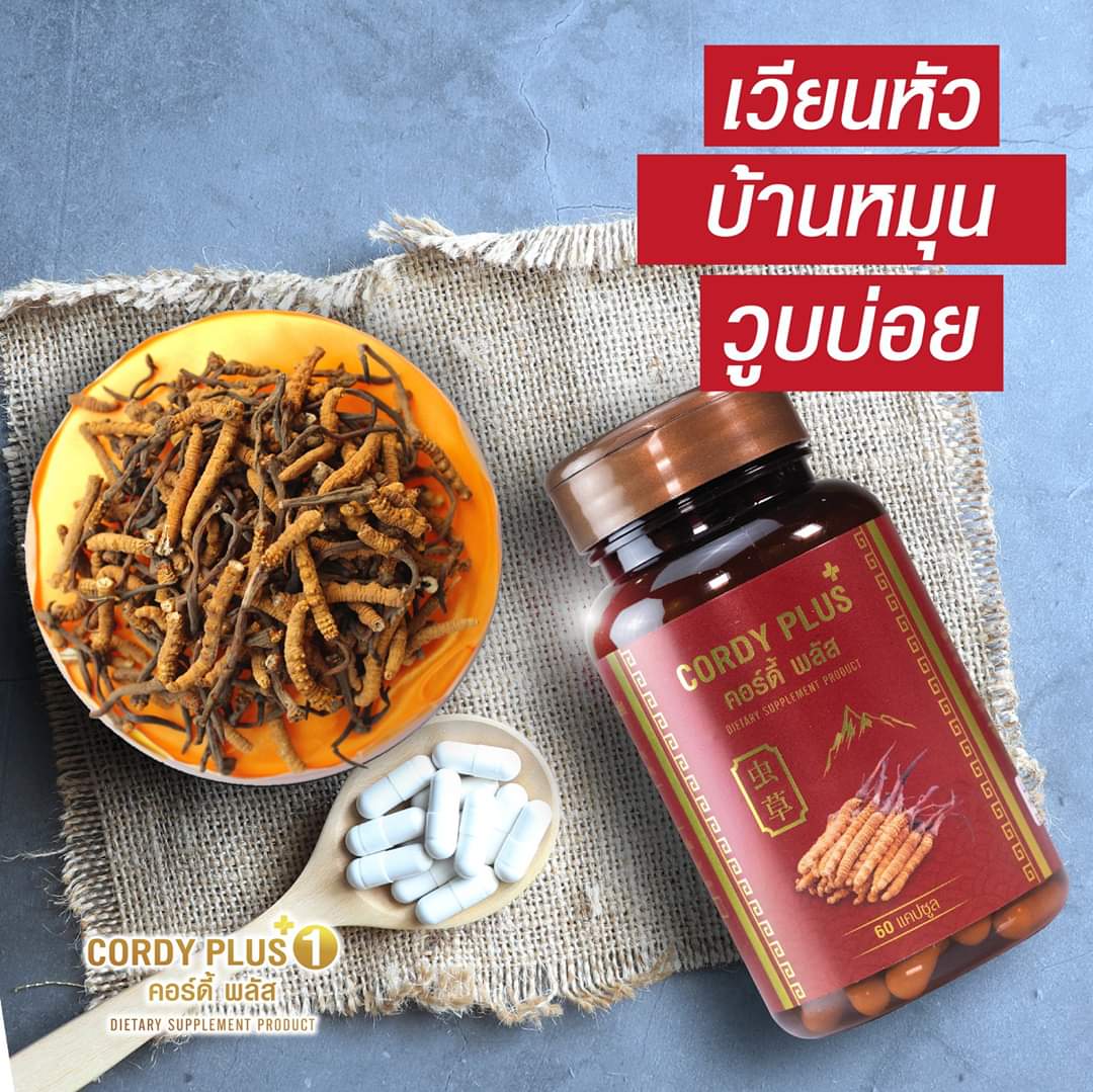 ขายเป็น เซต คอร์ดี้ พลัส cordy plus 1 ถั่งเช่าทิเบตเข้มข้น
