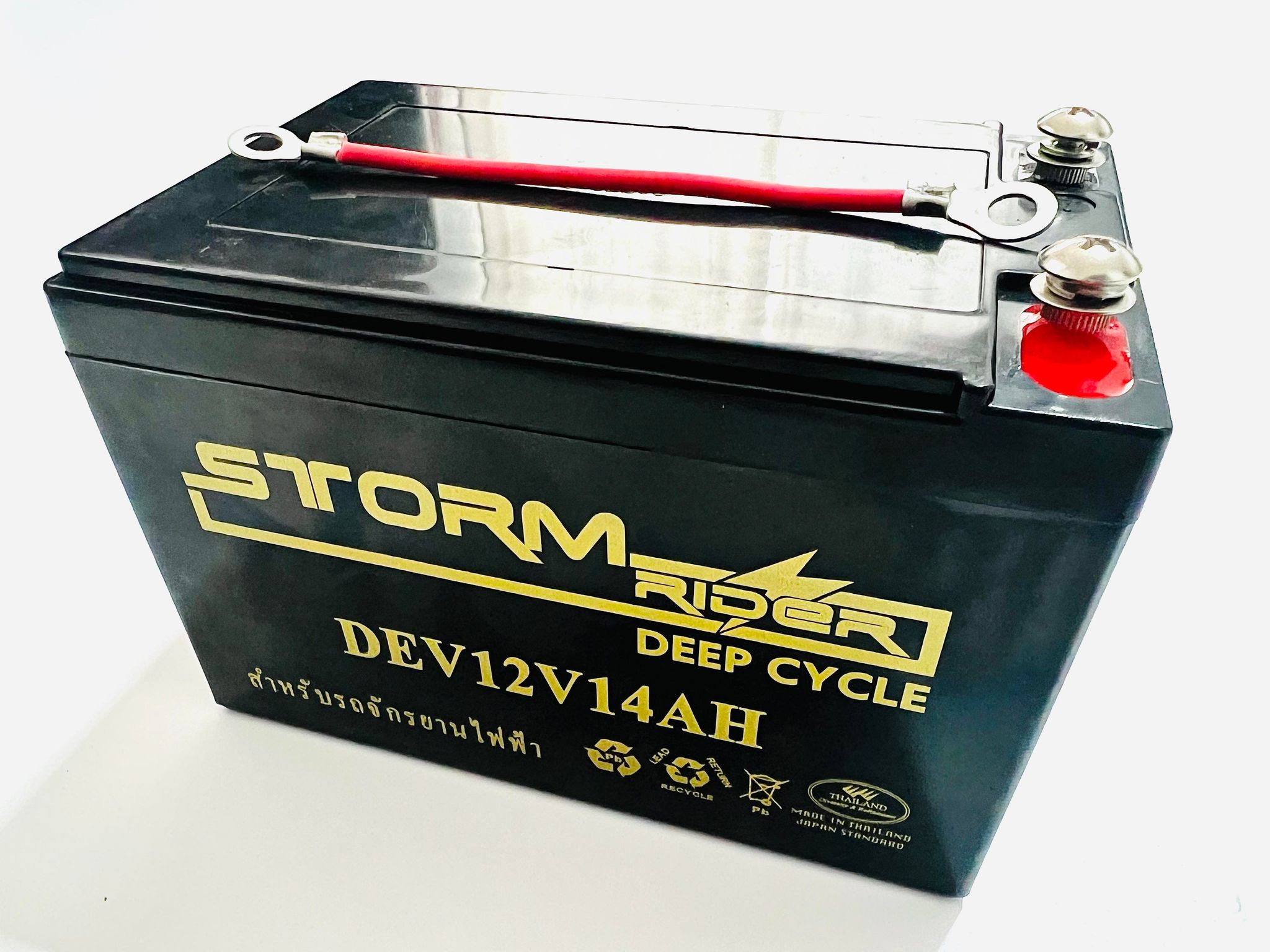 แบตเตอรี่รถจักรยานไฟฟ้า DEV12V14AH L19