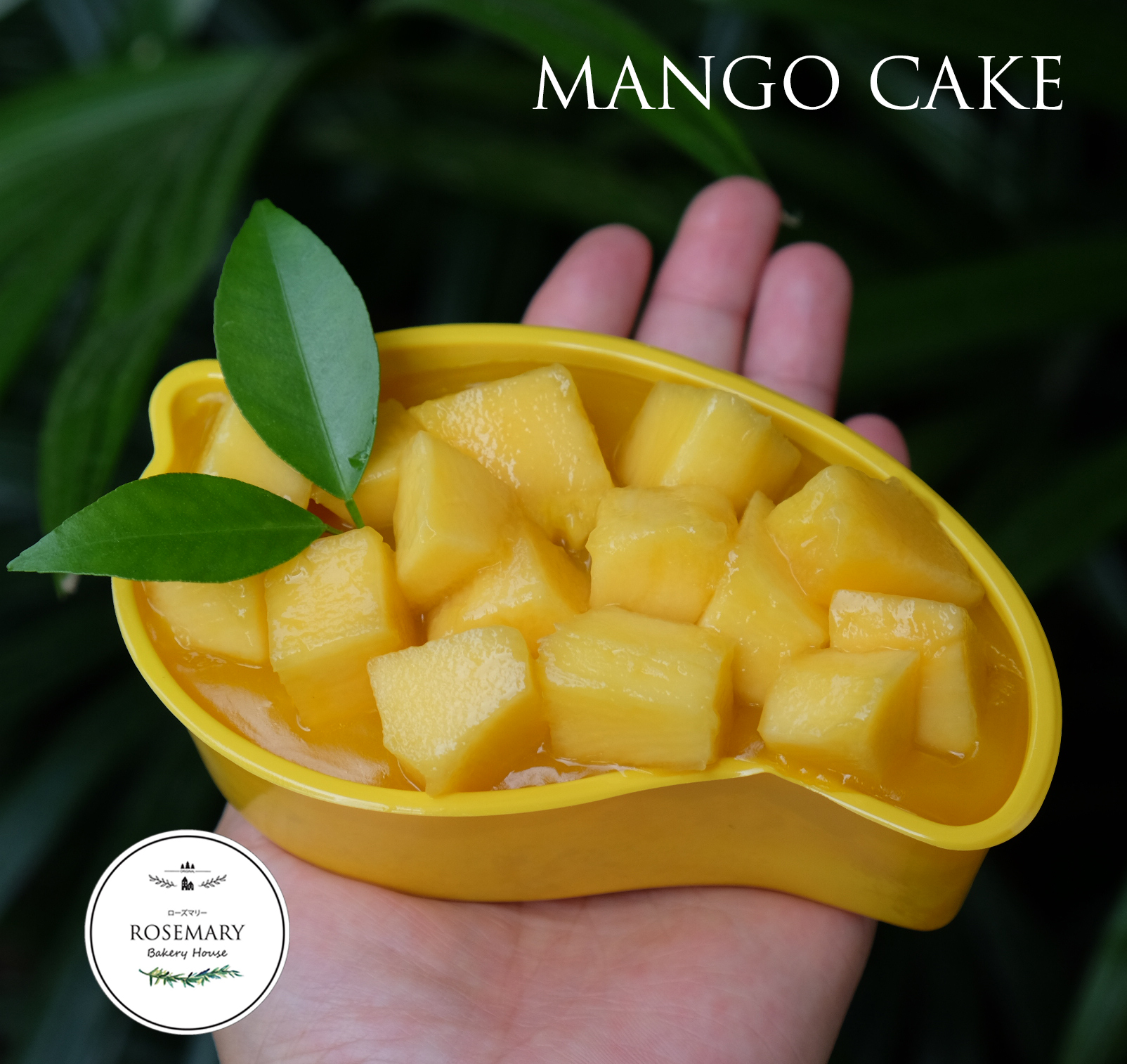 🥭🥭เค้กลูกมะม่วง Mango Cake 🥭🥭 (สั่ง 2 กล่อง ถูกกว่า)