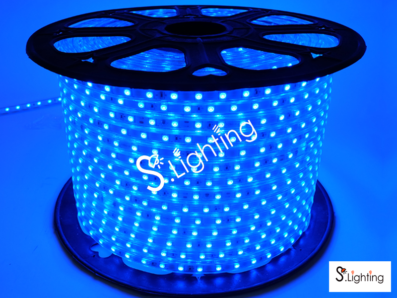ไฟสายยางแบน SMD LED 5050 2ไส้ 100ม. น้ำเงิน
