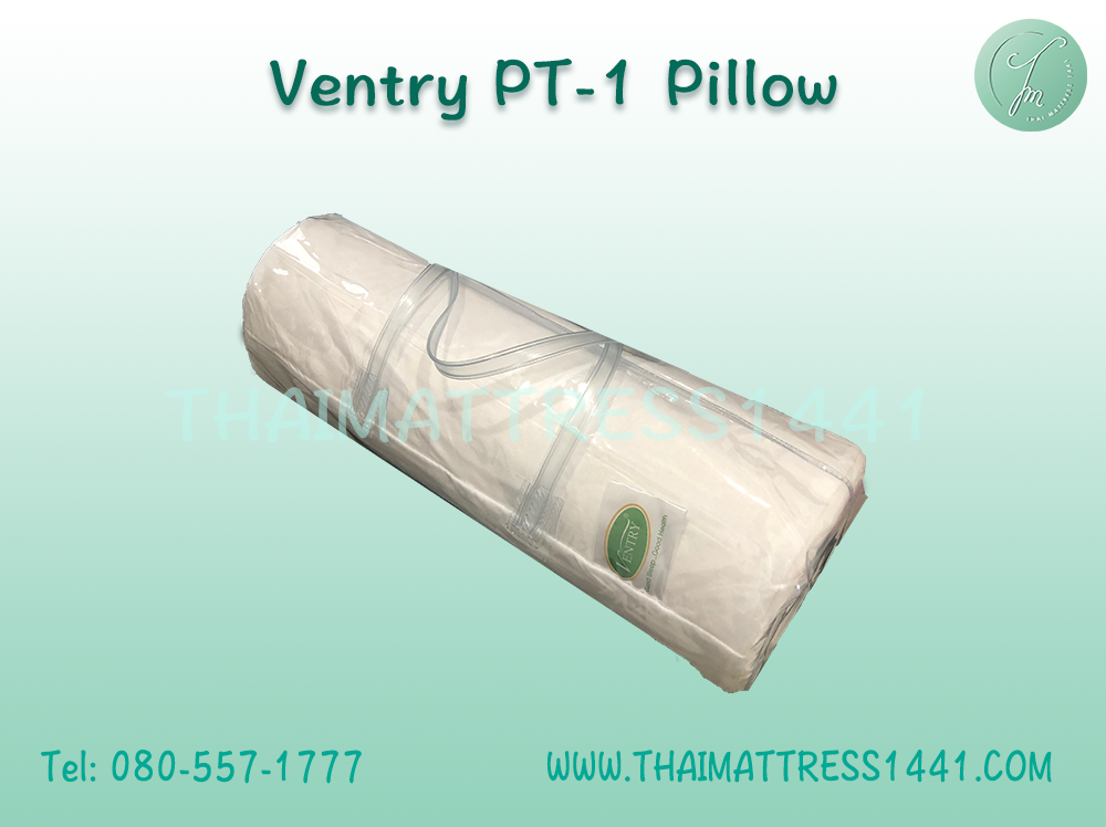 หมอนยางพารา รองคอ Ventry PT1