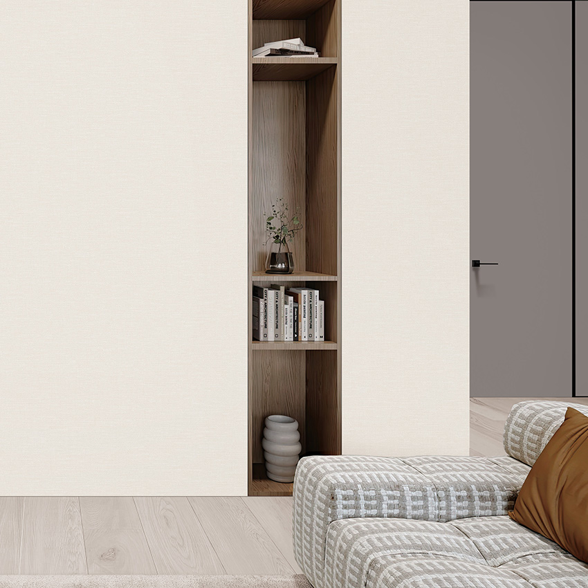 BASIC+ LIMITED Collection