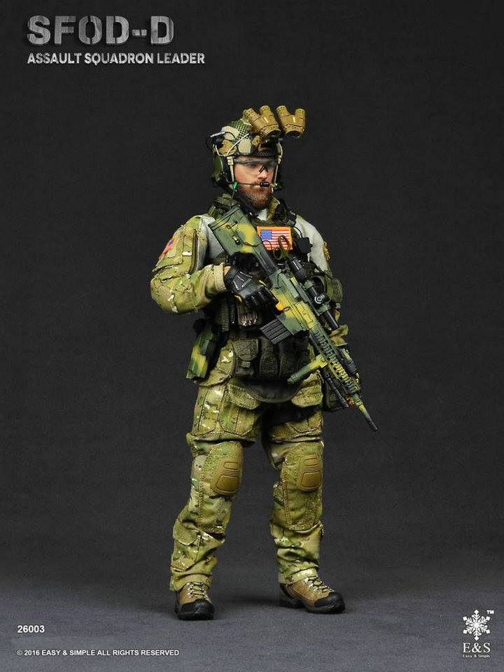 Easy & Simple 26003 SFOD-D Assault Squadron Leader