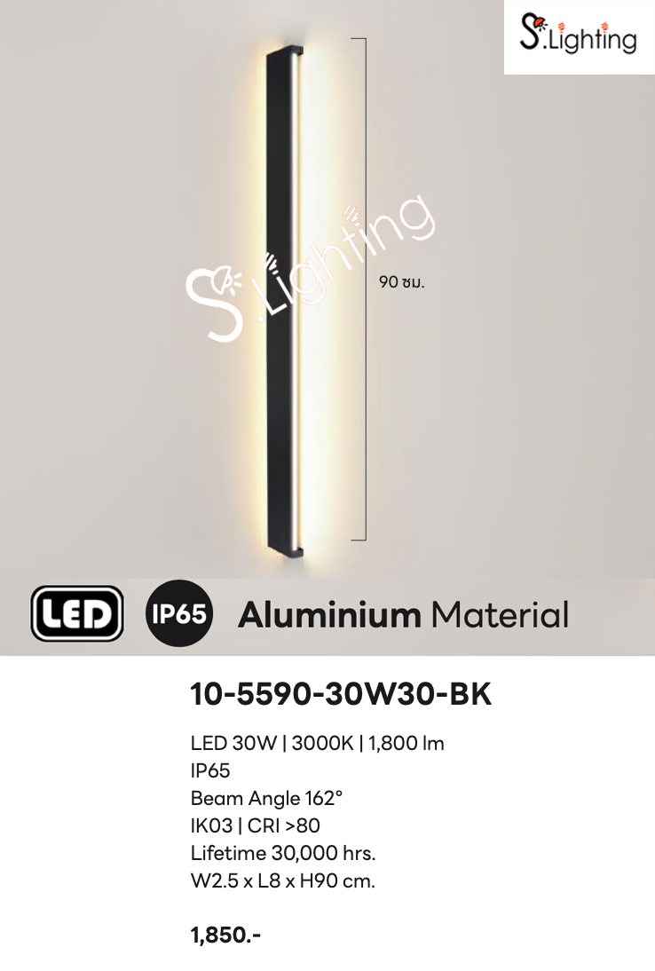 โคมไฟติดผนังภายนอก 10-5590-30W30-BK