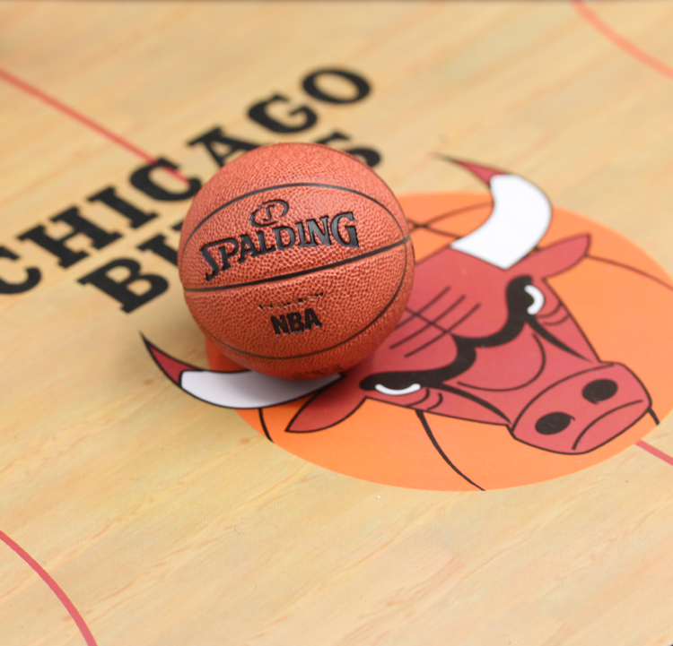 Maestro Studio Basketball 1/6 MS master magnetic basketball NBA Jordan