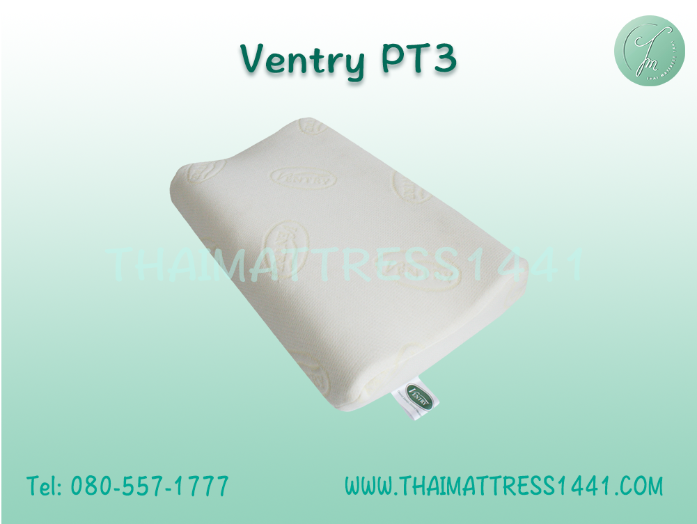 หมอนยางพารา Ventry PT3