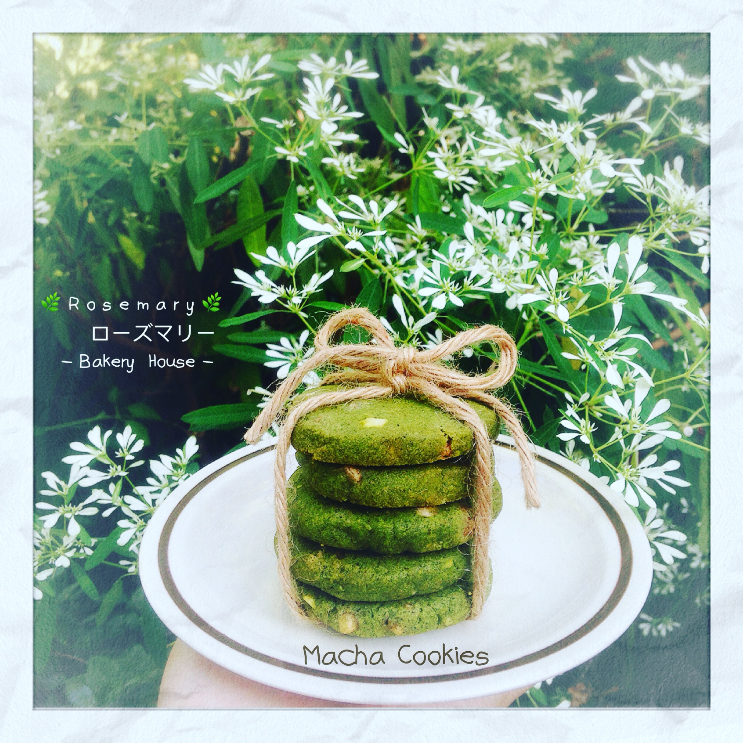 คุ้กกี้มัทฉะไวท์ช็อกโกแลต Matcha White Chocolate Cookies (ต่อชิ้น)