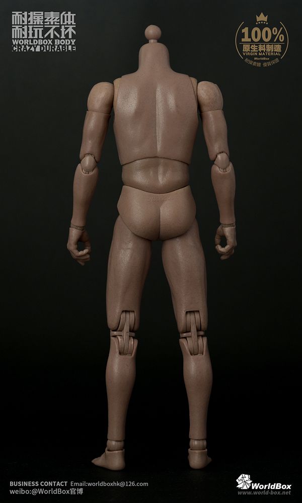 WorldBox AT011 Body 2017 Ver.